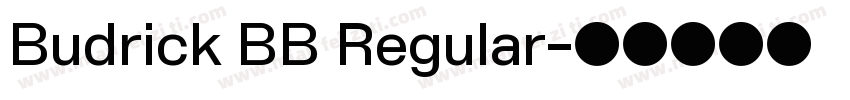 Budrick BB Regular字体转换